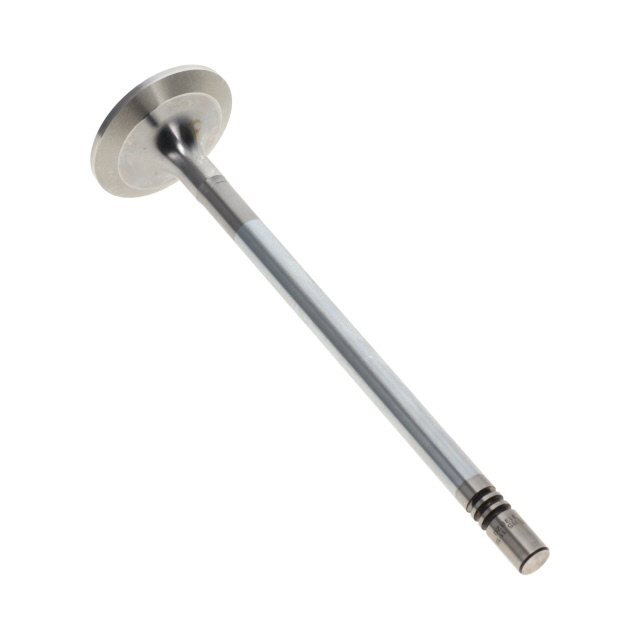 Inlet Valve - Suits Volvo D7E