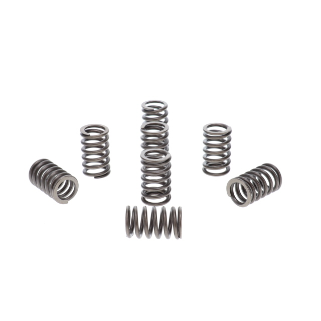 Valve Spring - Suits Iveco, Cummins