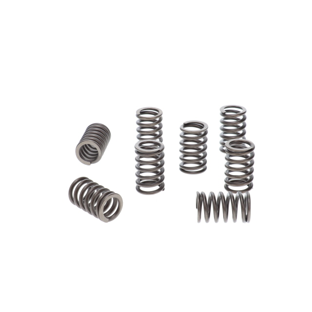 283147300T Valve Spring - Suits Iveco, Cummins