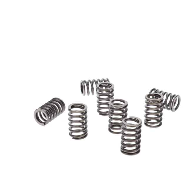 283147300T Valve Spring - Suits Iveco, Cummins