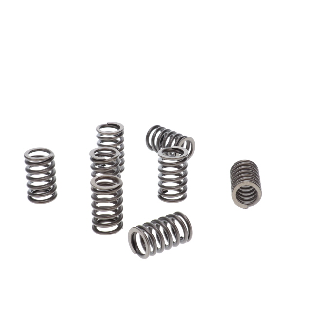 283147300T Valve Spring - Suits Iveco, Cummins