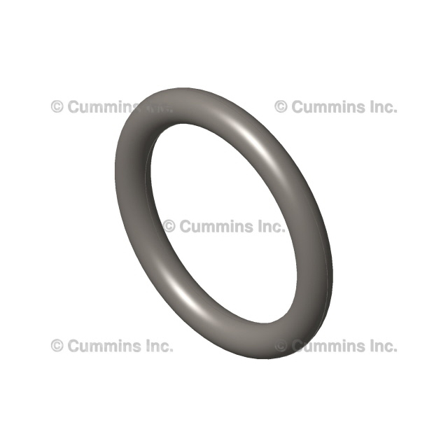 CUMMINS OEM O RING