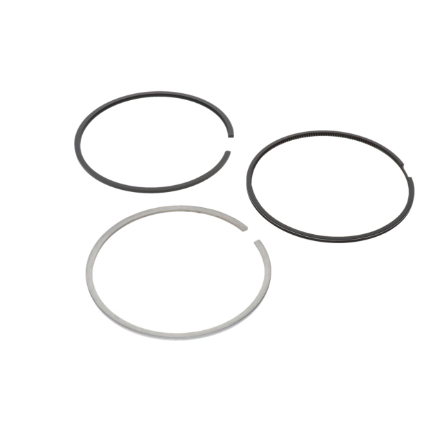495536600T Piston Ring Set - 1 Cylinder - Suits Cummins