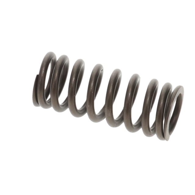 VALVE SPRING TO SUIT MAN