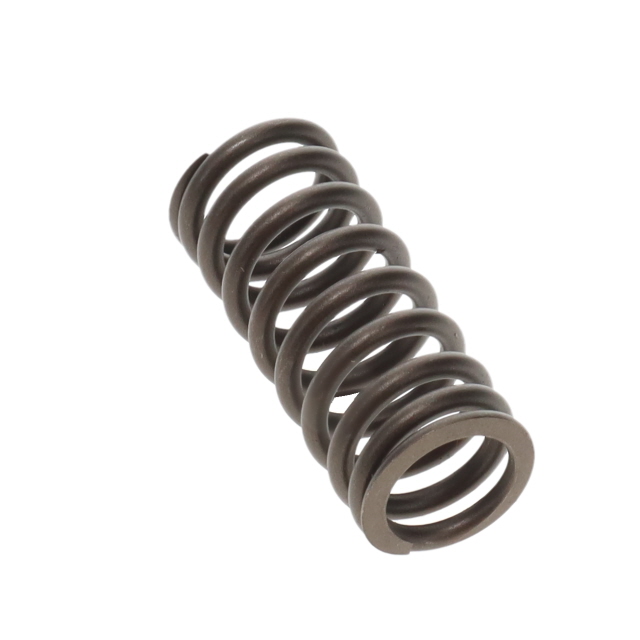 51041020155T VALVE SPRING TO SUIT MAN