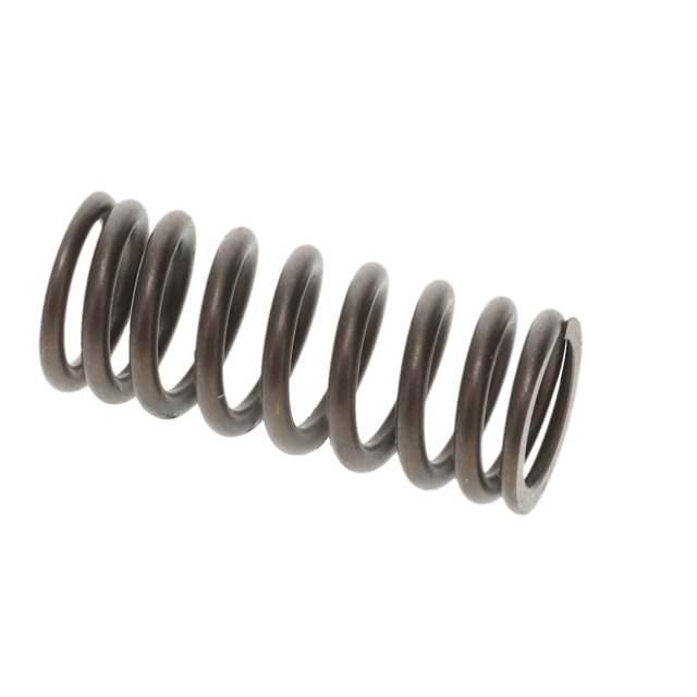 51041020155T VALVE SPRING TO SUIT MAN