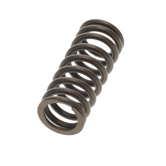 51041020155T VALVE SPRING TO SUIT MAN