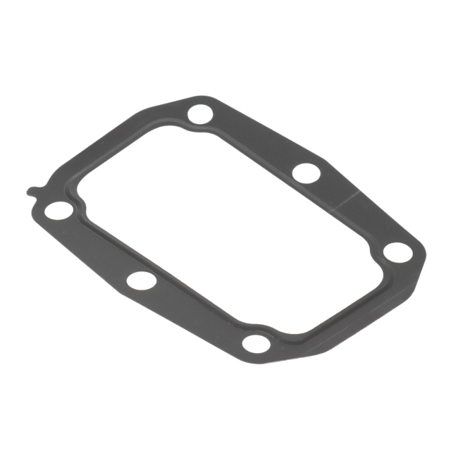 51089010254T EGR VALVE SEAL TO SUIT MAN