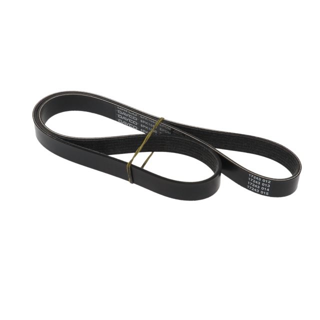 POLY RIB BELT