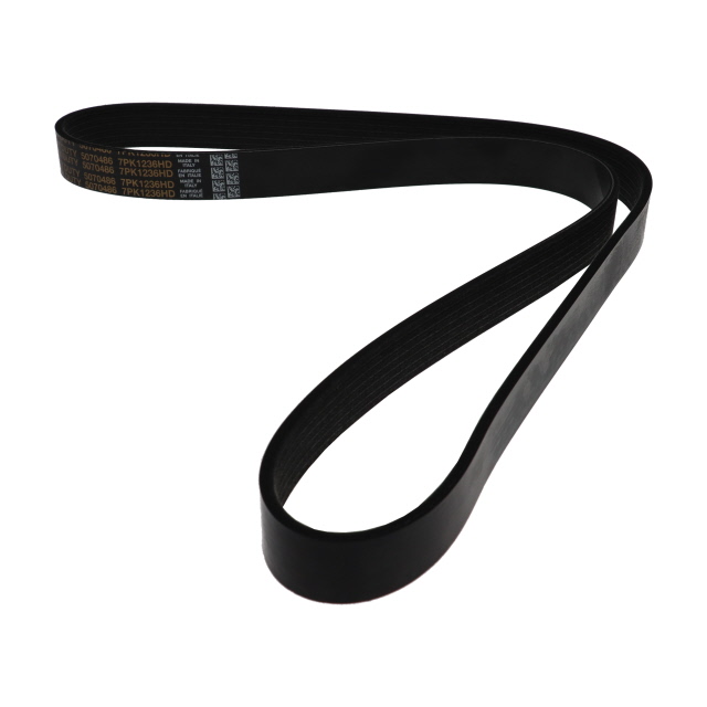 POLY RIB BELT