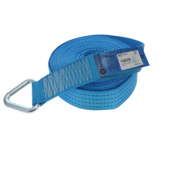 Lashing Strap with D Ring 9.5m