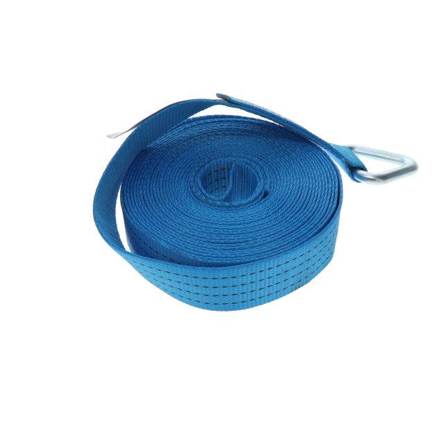 A8026 Lashing Strap with D Ring 9.5m