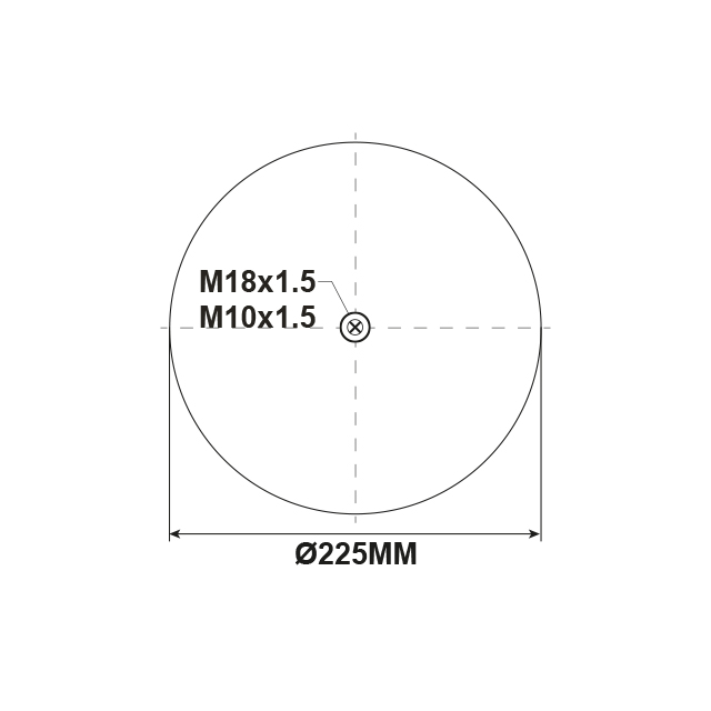 AS0098 AIRSPRING (COMPLETE) RENAULT IRISBUS