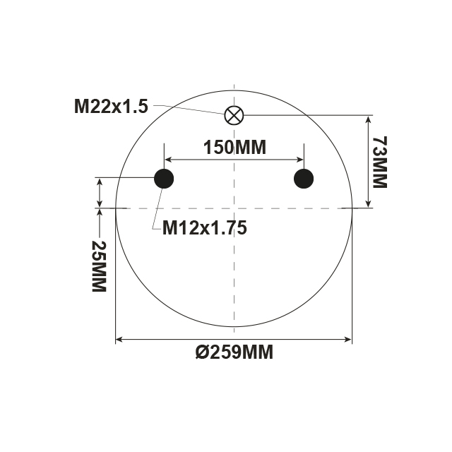 AS1316 AIRSPRING ASSY (ASK020) STEEL PISTON BPW