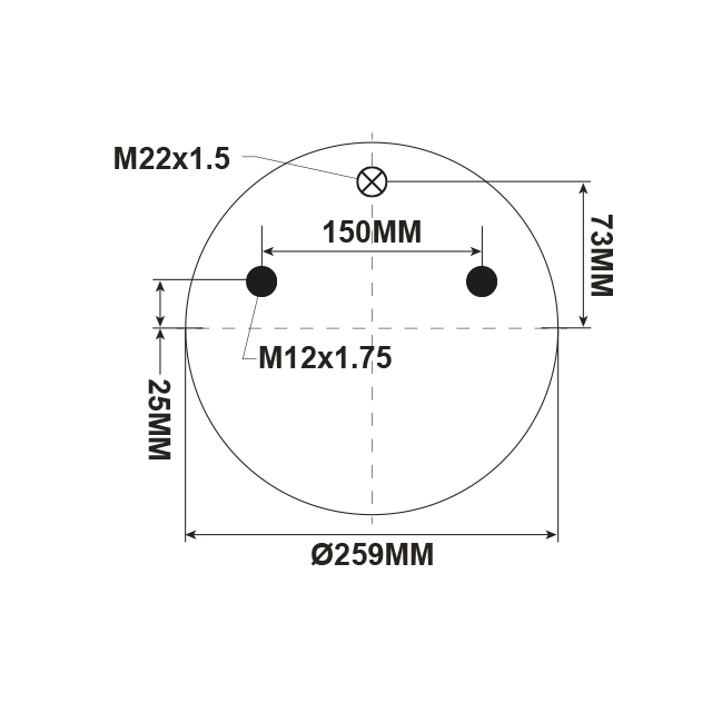 BPAS4005 Air Spring Assembly with Central Mount BPW