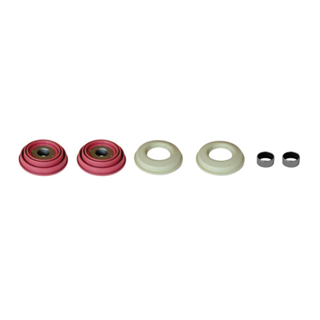 CALIPER TAPPETS SERVICE KIT
