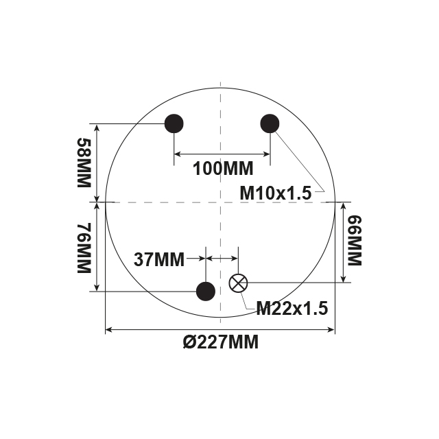 DFAS4031 AIRSPRING ASSY (TBA) M22 DAF
