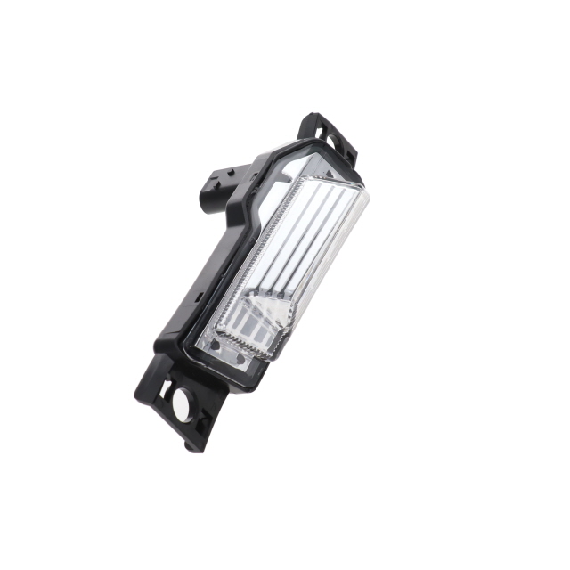 DFBY0119 Indicator LH to suit DAF XG