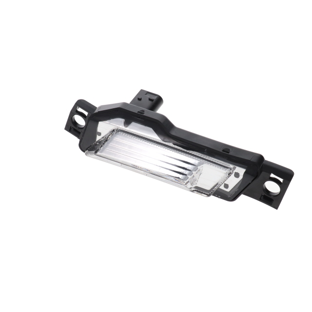 Indicator RH to suit DAF XG