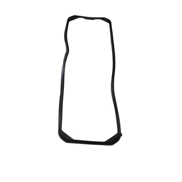 DFSG0001 DAF SUMP GASKET