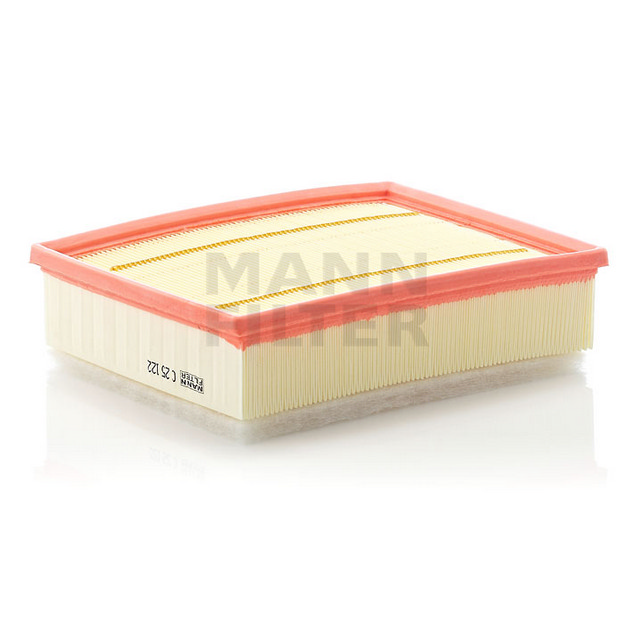AIR FILTER C 25 122