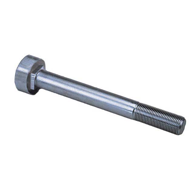 BOLT M30 X 170MM