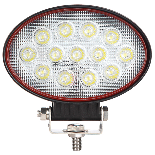 39W Oval Flood Lamp