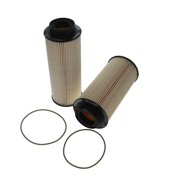 Genuine Fuel Filter Element Kit (KIT CONTAINS OF 2003505 FUEL FILTER X 2)