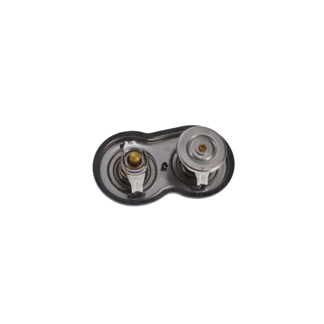 DOUBLE THERMOSTAT KIT FOR SCANIA 88C